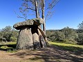 Fr-Sp-Po25-06 -75-Camping Puro Alentejo, de dolmen