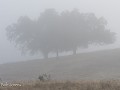 Fr-Sp-Po25-06 -81-Camping Puro Alentejo, mist na e