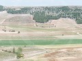 Po19-05.43 Wijnranken in Pesquera de Duero