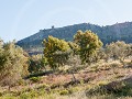 Po19-03.78 Marvao, van verre