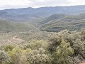Fr-Sp-Po23-03 -57-Sierra de Madrona