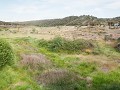 Po19-02.24 Rio Salor - onze stek van lang geleden