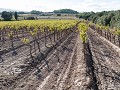 Fr-Sp-Po23-04 -25-Escales, Languedoc-wijngaard
