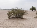 Fr-Sp22-05 -17-El Puerto de Santa Maria - het stra