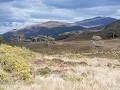 Sc-Sh23-02 -30-Alladale Glen