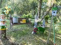 Sc-Sh23-05 -46-Benderloch, Seaview Camperplaats