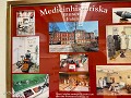 No-Zw-La25-02 -54-Falun, Medisch-Hisorisch Museum