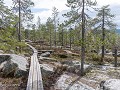 Zw22-05 -33-Wandelgebied Aavasaksa-2