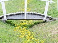 Zw22-05 -60-Kukkola - een gracht vol Dotterbloem