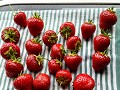 No-Zw-La25-07 -64-zoete Zweedse aardbeien op het m