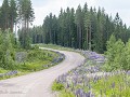 Zw22-08 -43-De Lupinenroute