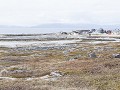 3-Varanger, een typisch vissersdorpje-3
