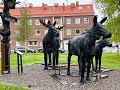 Zw-Fi-No26-05 -30-Arvidsjaur, Elanden in de stad