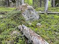 Zw-Fi-No26-05 -45-Vormforsen, natuurreservaat
