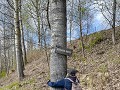 Zw-Fi-No26-03 -42-Skelleftea, wandeling langs de o