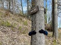 Zw-Fi-No26-03 -43-Skelleftea, wandeling langs de o