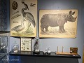 Zw-Fi-No26-03 -49-Pitea Museum, schoolcollectie