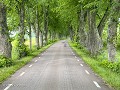 Zw-Fi-No26-07 -08-oeroude bomen omgeving Takern me