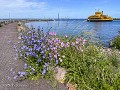 Zw-Fi-No26-07 -26-Granna haven, ferry naar Visingo