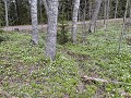 No-Zw-La25-03 -27-Sundsvall parking aan skiresort,