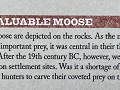 No-Zw-La25-03 -43-Rotsgraveringen Nasaker info 3