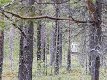 No-Zw-La25-05 -40-Slaapplaats richting Arjeplog