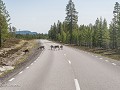 No-Zw-La25-05 -53-E45, Rendieren op de weg