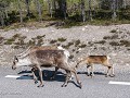 No-Zw-La25-05 -54-E45, Rendieren toekomst verzeker