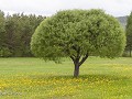Zw22-06 -19-Lentetafereel
