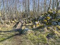 Zw-Fi-No26-01 -11-Hornborgasjon, wandelingen langs