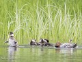 Zw-Fi-No26-06 -60-...wordt er gepoetst en gewassen