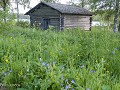 Zw-Fi-No26-06 -94-Loos Camping, oude schuren