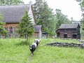 Zw22-07 -84-Jamtli museum - decor