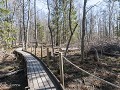Zw22-04.36-Umealven delta natuurreservaat