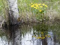 No-Zw-La25-06 -02-Camping Sagan, nabij Vilhelmina