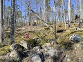 Zw-Fi-No26-02 -86-Galtstrom, boswandeling tussen t