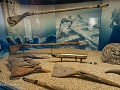 Zw22-02.04-Kronan - archeologisch park
