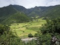 DSC09772