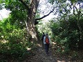DSC09356