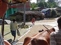 DSC09294