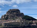 Morella