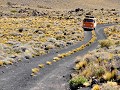 Argentina - 03172013 - RP Payunia - DSC 0278