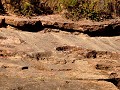 Bolivia - 05312013 - Parque Nacional ToroToro - DS