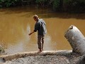 Vissen naar piranha's