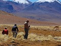 Drie belgen en een vicuna