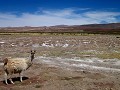 Bolivia - 05022012 - Uyuni (onderweg naar) - IMG 8