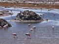 Bolivia - 05042012 - Tupiza (onderweg naar) - DSC 