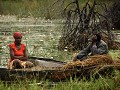 Okavango Delta - Moremi Game Reserve