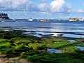Brazil - 07172013 - Praia Do Forte - DSC 0174