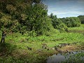 Brazil - 06272013 - Pantanal - IMG 3730-1